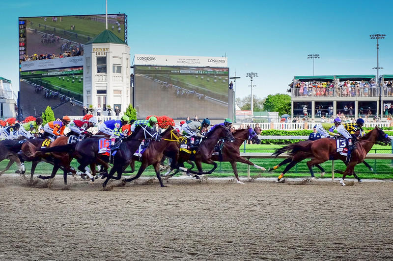 Should the Three-Year Depreciation Schedule for Race Horses be Permanent? Should the Three-Year Depreciation Schedule for Race Horses be Permanent?